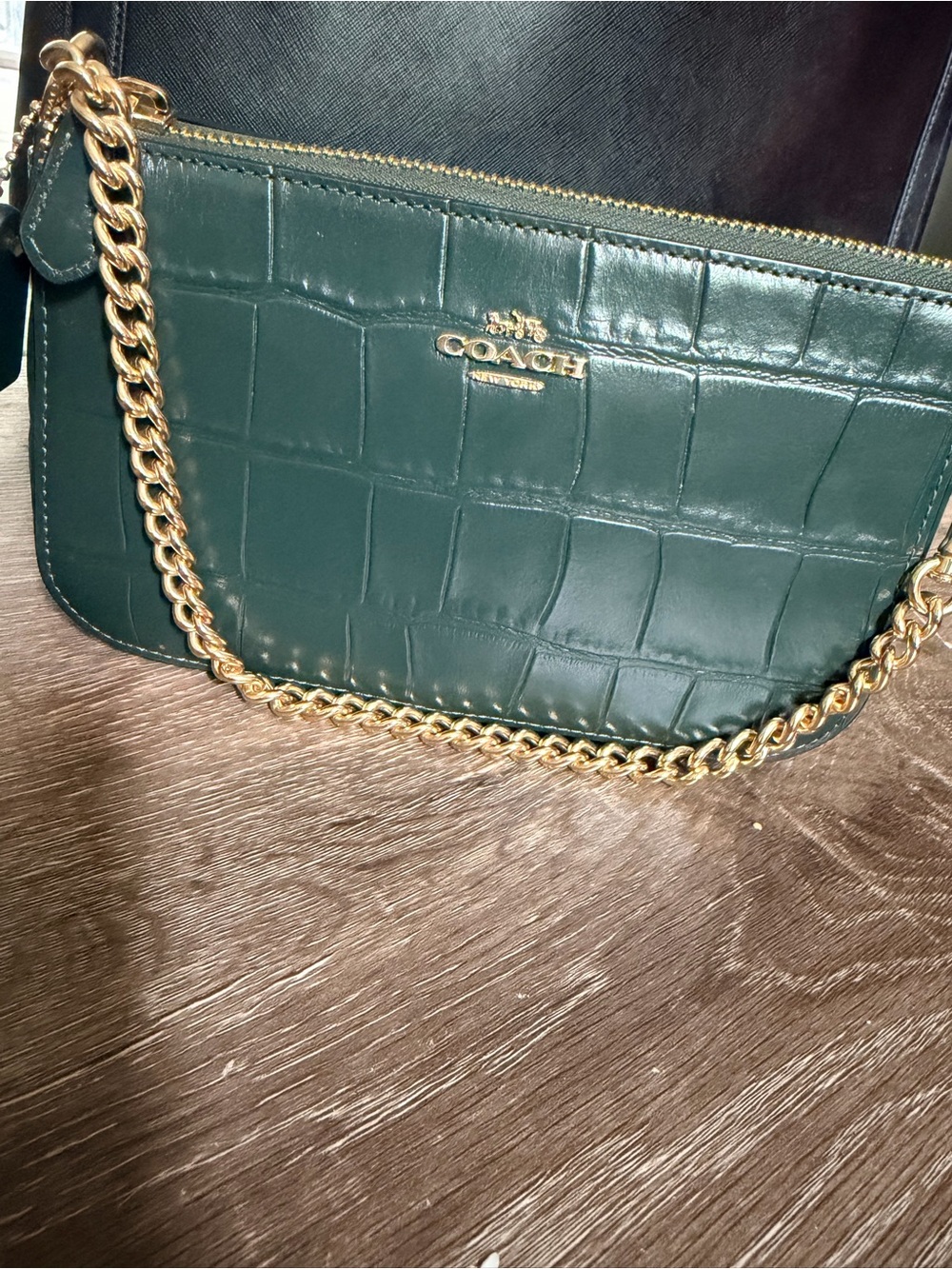 Dark Green/gold Coach Nolita 19 crocodile embossed leather purse